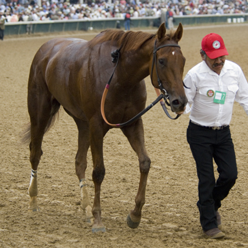 _DSC1583 Race 8 Winner.jpg