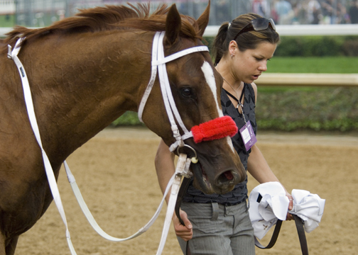 _DSC1625 Race 9 winner.jpg
