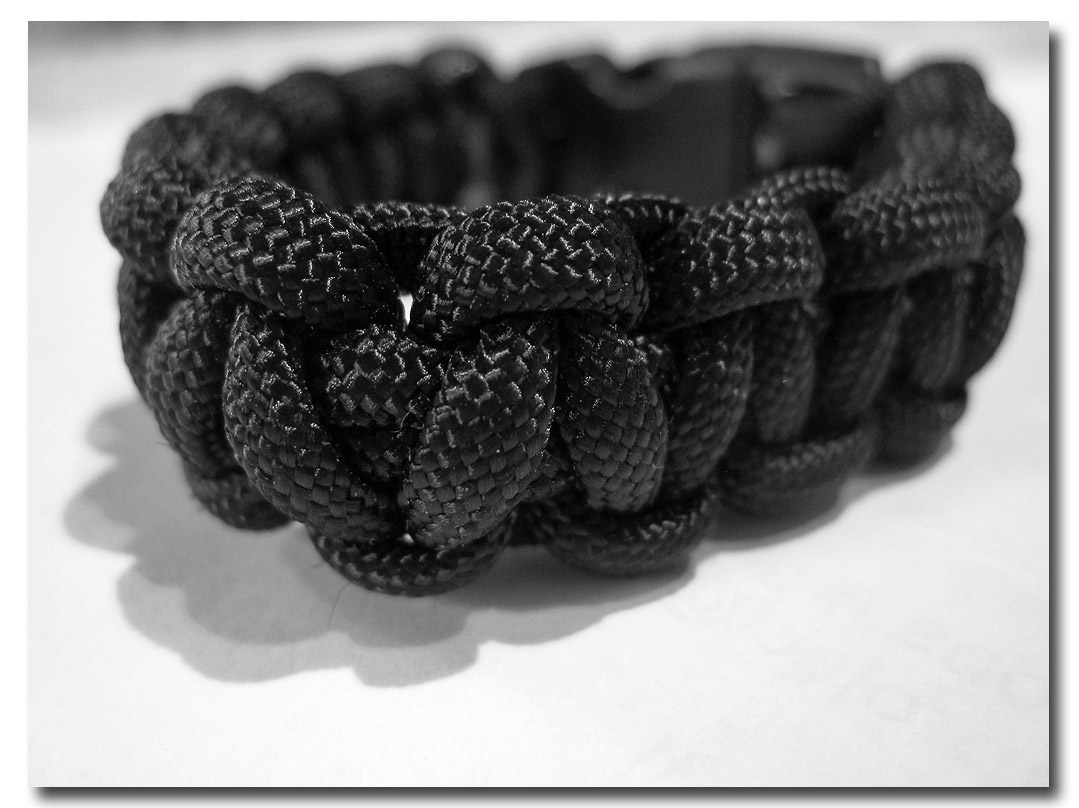 IMG_4451  WIC # 63 - Twist or Twisted