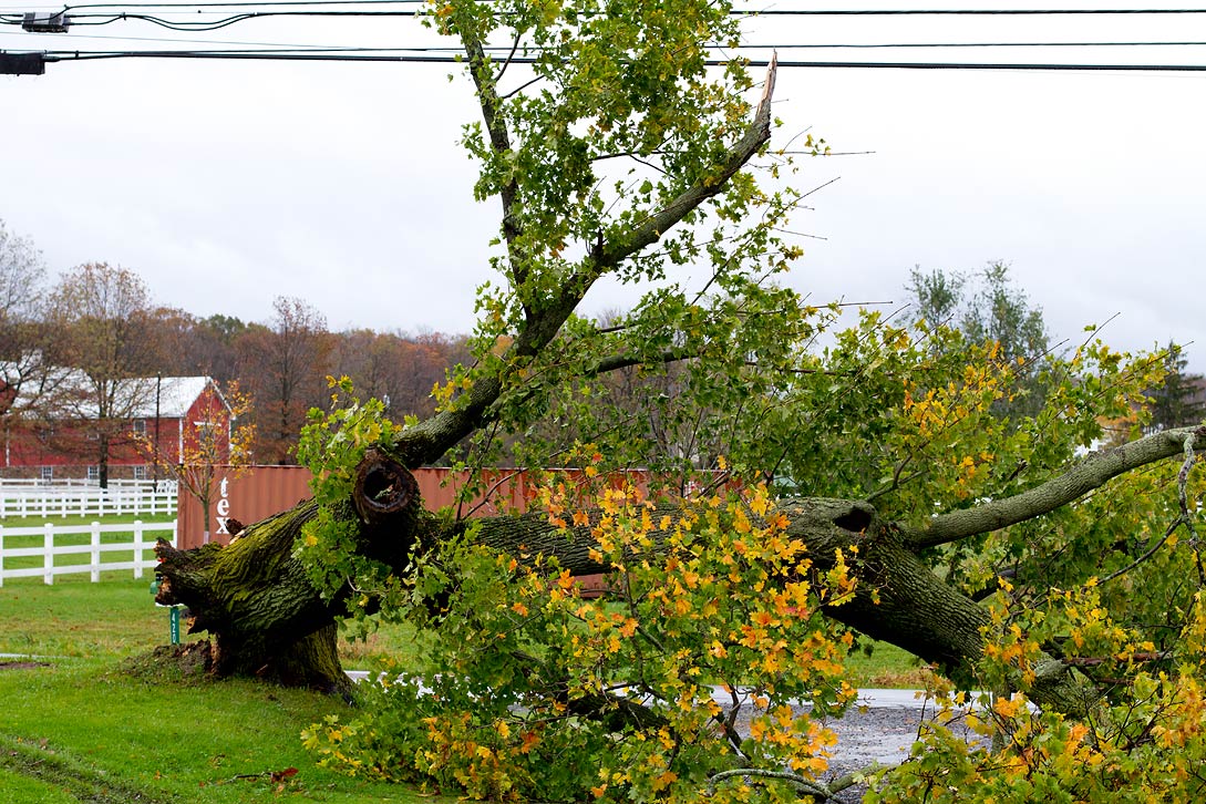 Hurricane Sandy ...