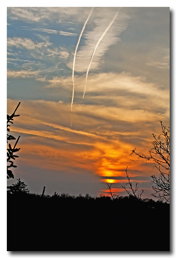 CR2_9003  WIC # 135 - Head On