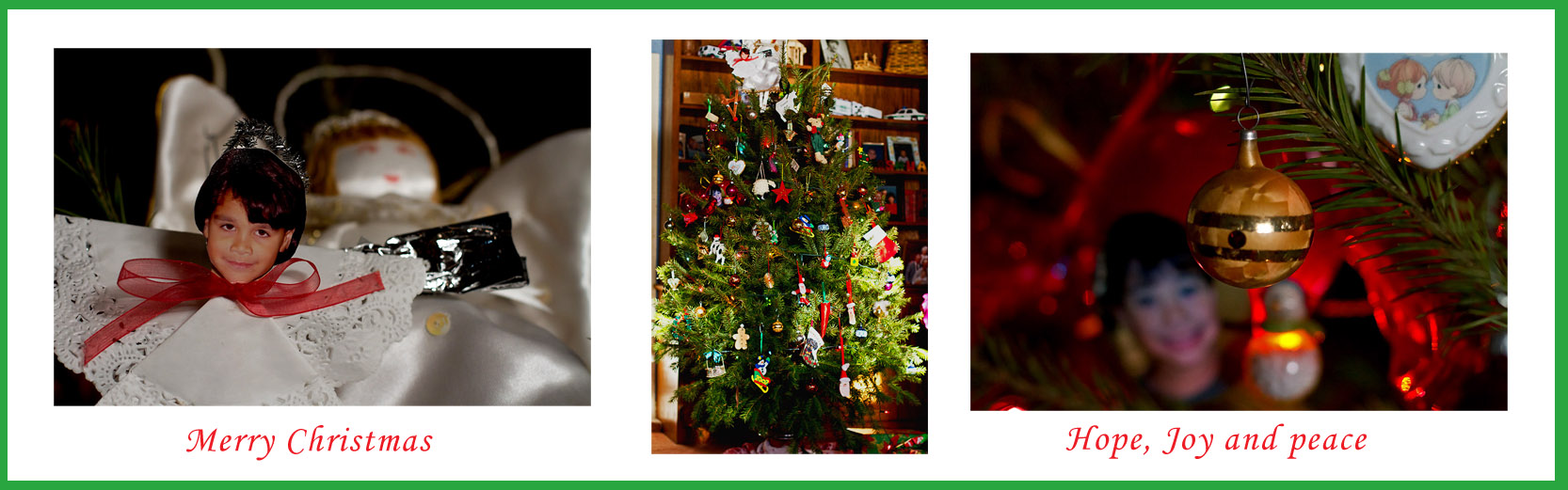 CR2_6553  WIC # 141 -  Tis the Season