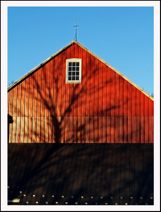 IMG_6787  WIC #145 Simplicity