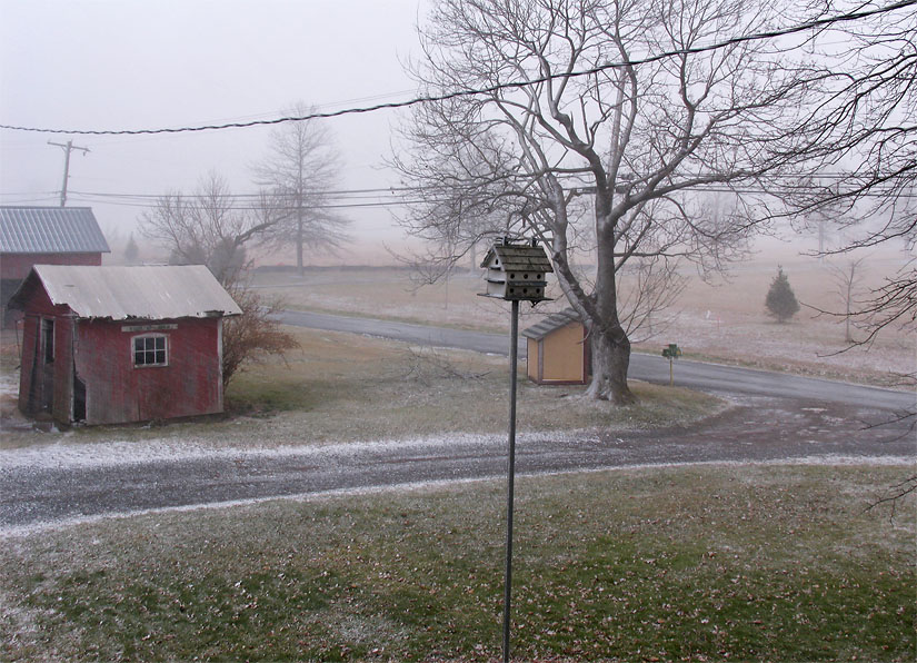 IMG_2886_ Snow squall and blustery winds