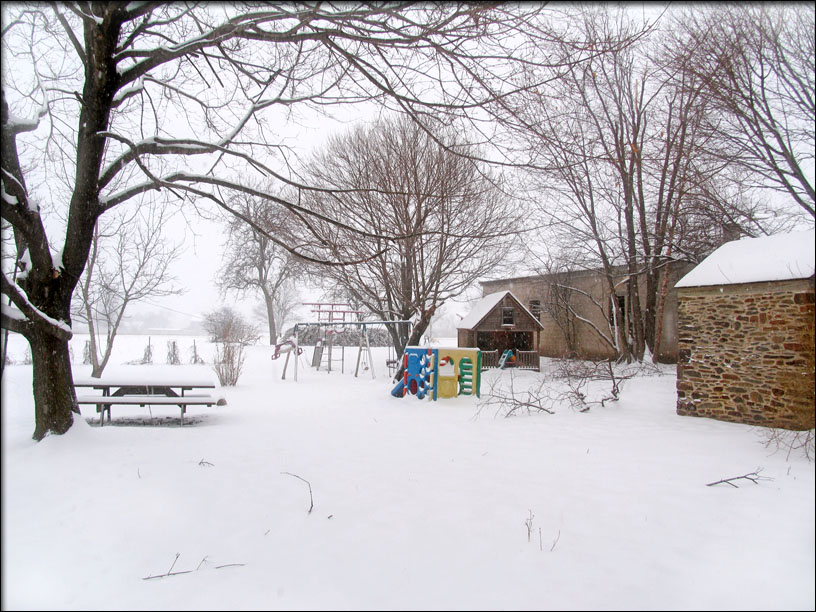IMG_2907_ Backyard