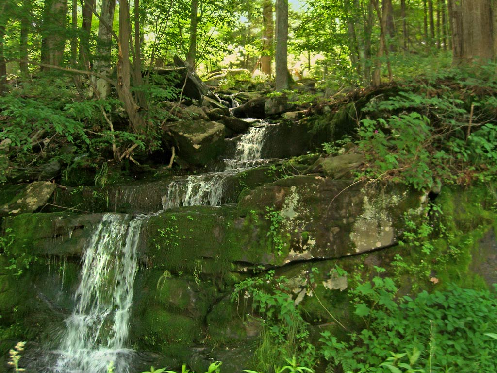 Green Waterfall