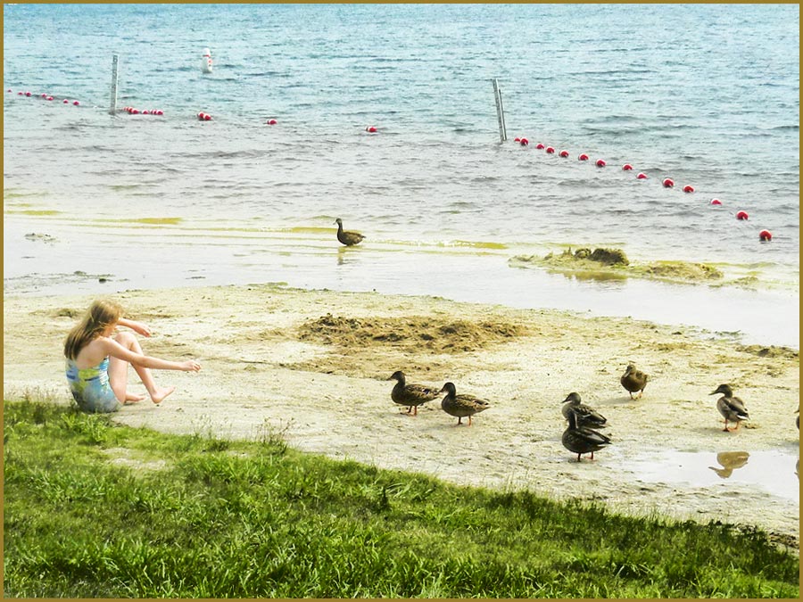 Here, ducky...
