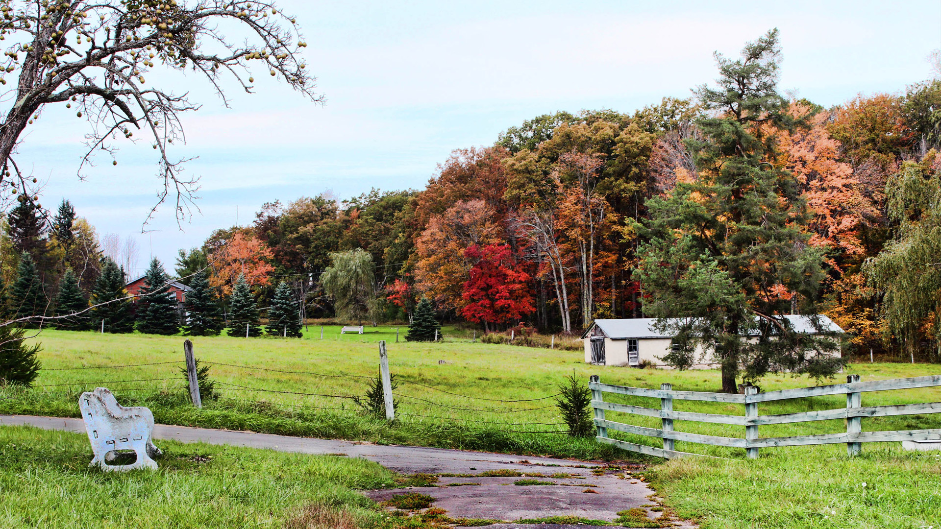 Along Long Ridge Road, Hawley, PA