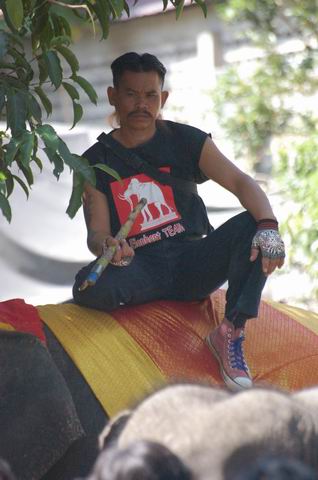 DSC_0410.JPG