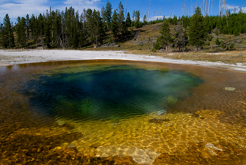 Beauty Pool