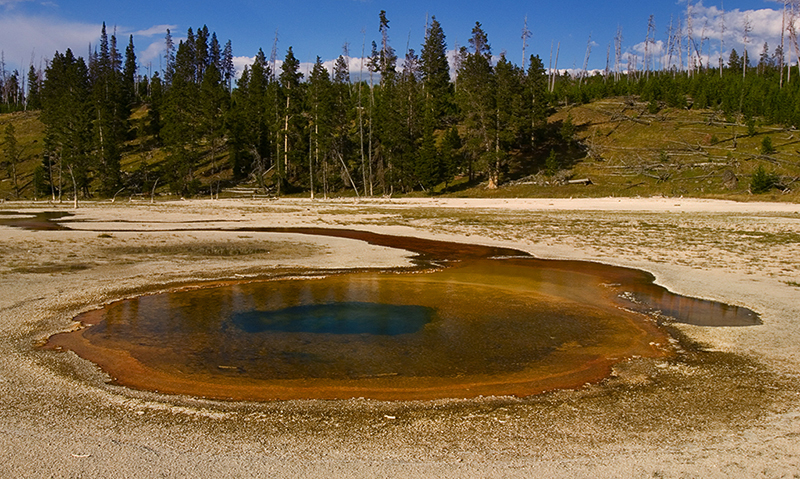 Chromatic Spring