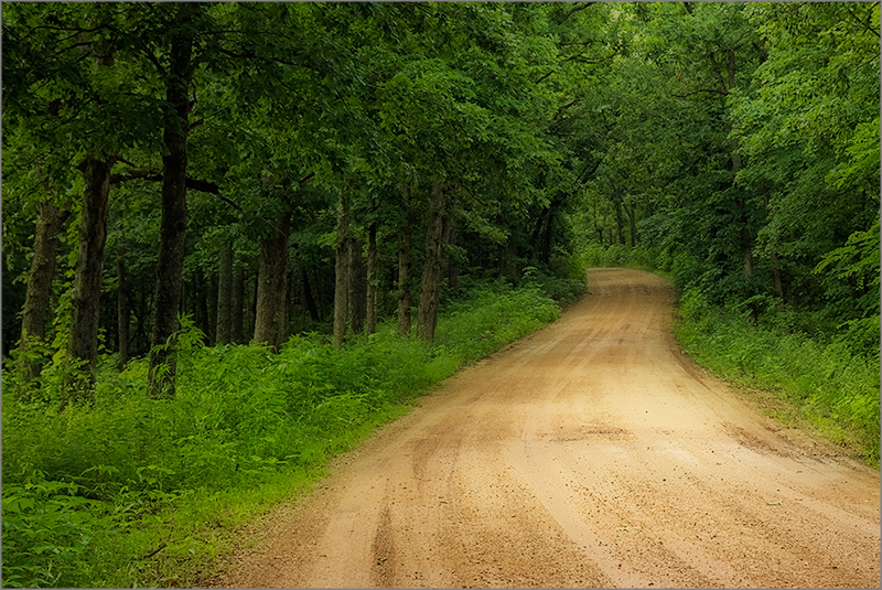 Country Road, Rainy Day