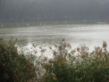 DSC09092.jpg