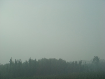 DSC09104.jpg