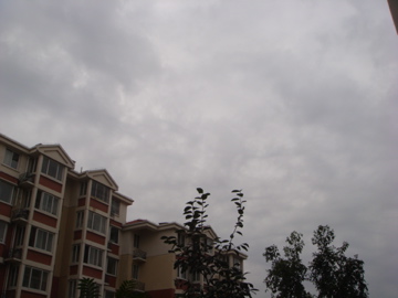 DSC09204.jpg