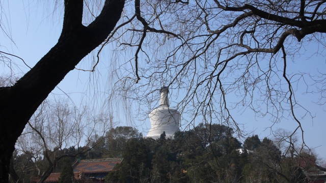 P1010254.JPG