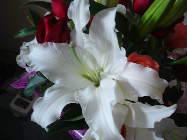 С DSC00890.JPG