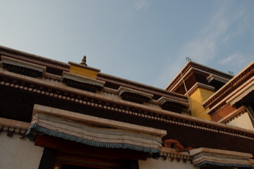 DSC_0015.jpg