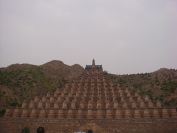DSC01441.jpg