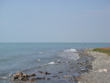 DSC01570.jpg