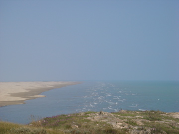 DSC01577.jpg