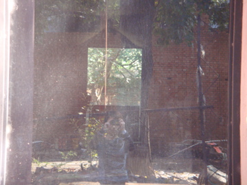 DSC01978.jpg