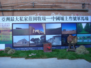 DSC01996.jpg
