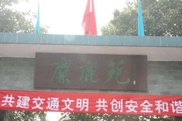 IMG_8273.jpg