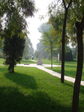 DSC02023.jpg