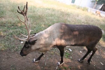 IMG_8289.jpg