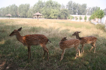 IMG_8307.jpg