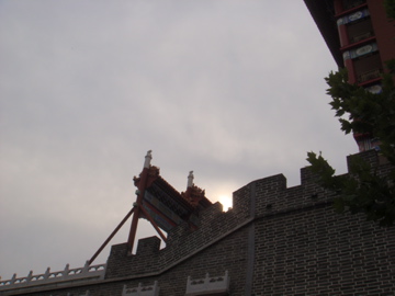 DSC02091.jpg