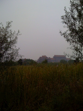 IMG_0093.jpg