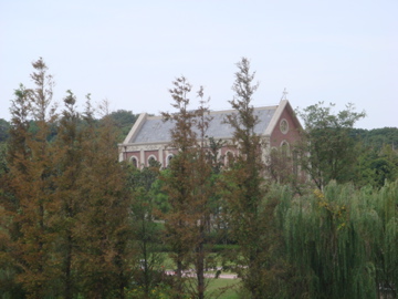 DSC02174.jpg