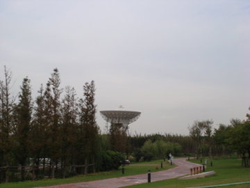 DSC02175.jpg