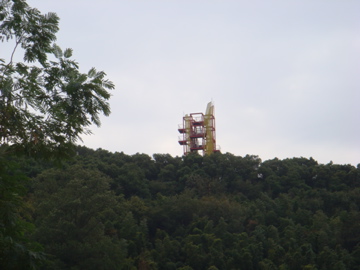 DSC02177.jpg