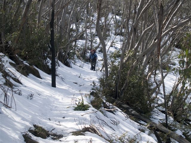 Heading back to Harrietville