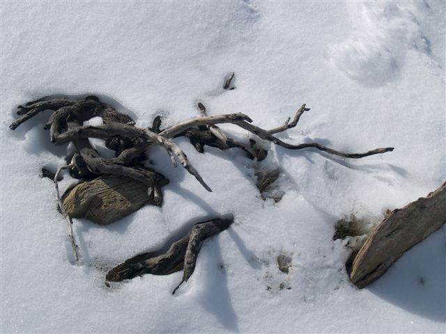 Ice