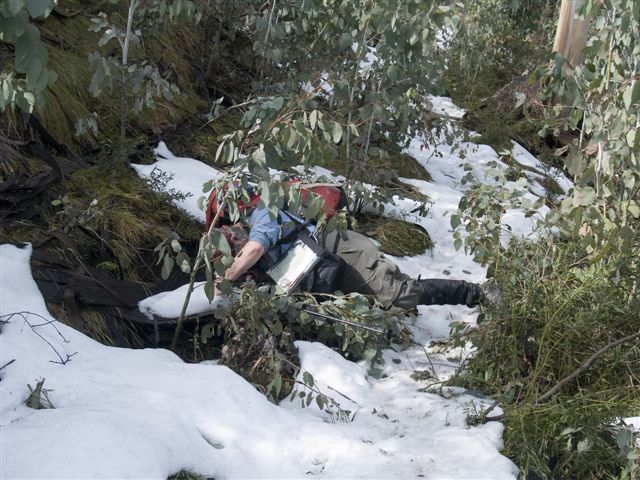 Roberts first fall in 2 days