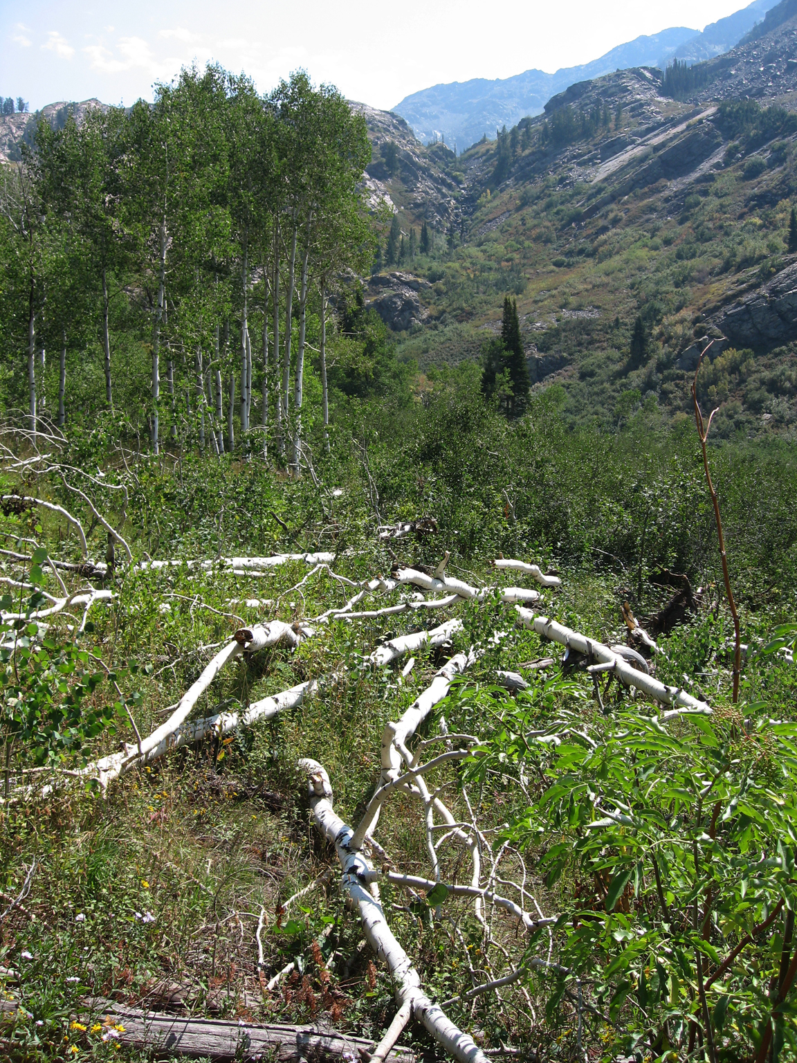 Salt Lake County hike, Sept 2007