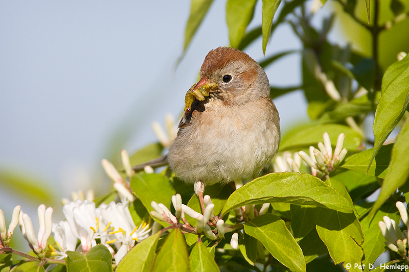 Holding food