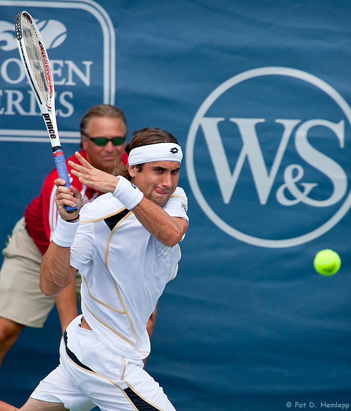 David Ferrer, 2009