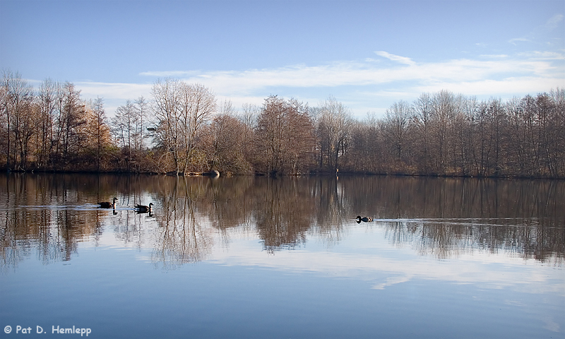 Morning reflection