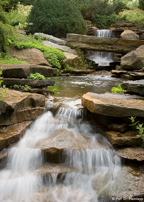 Rock Garden