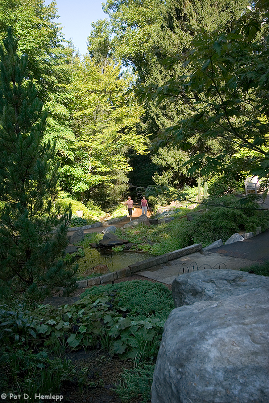 A walk in the park