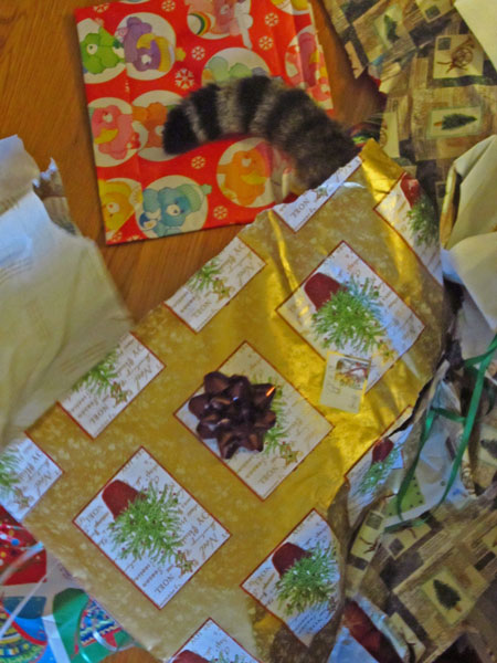 25 Merry Christmas Morning 0224
