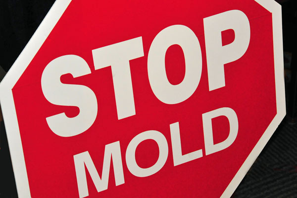08 Stop mold 3025