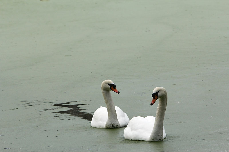 Couple en ballade_0998r.jpg