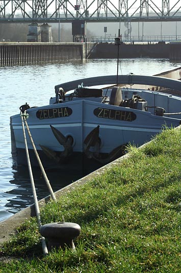 Zelpha_1199r.jpg