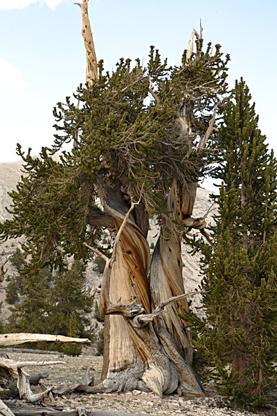 STP_3090.jpg